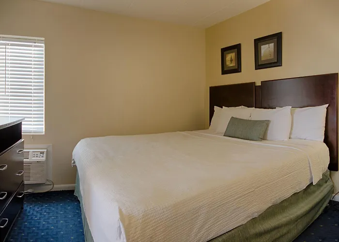 Sealoft Oceanfront 2*