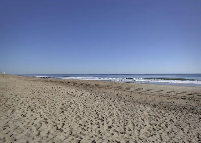 Sealoft Oceanfront Hotel 2*